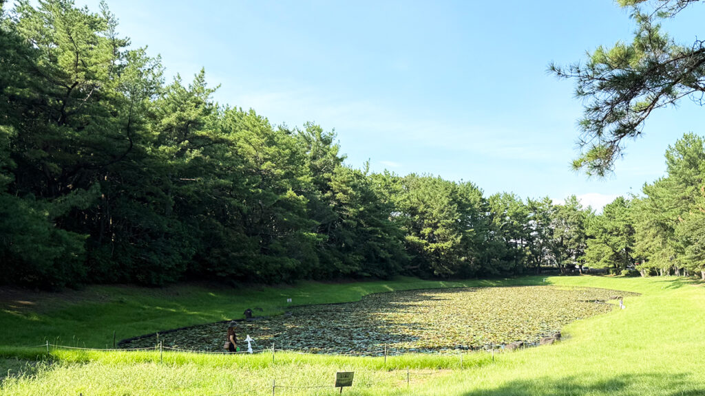 みそぎ池（御池）