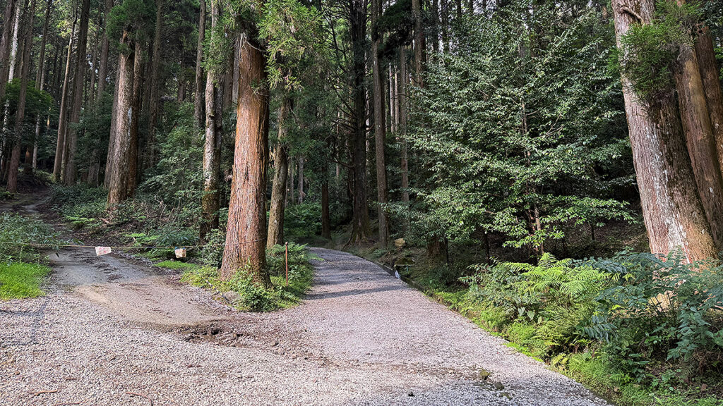 山神社