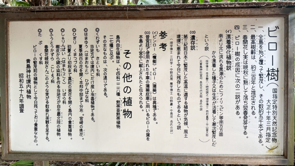 ビロー樹