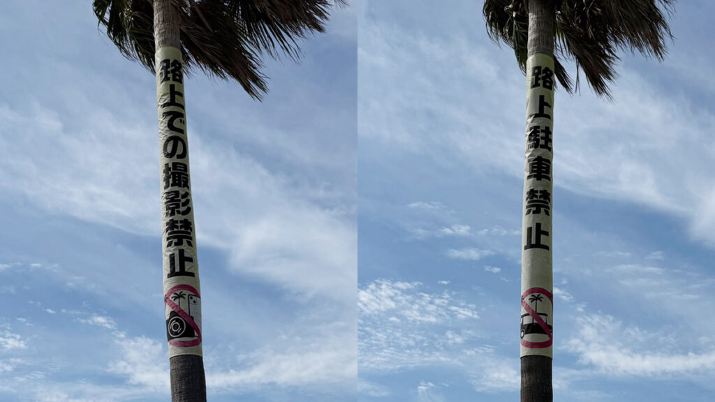 千葉フォルニア